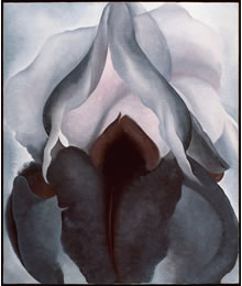 Iris negro. Georgia O'Keeffe.