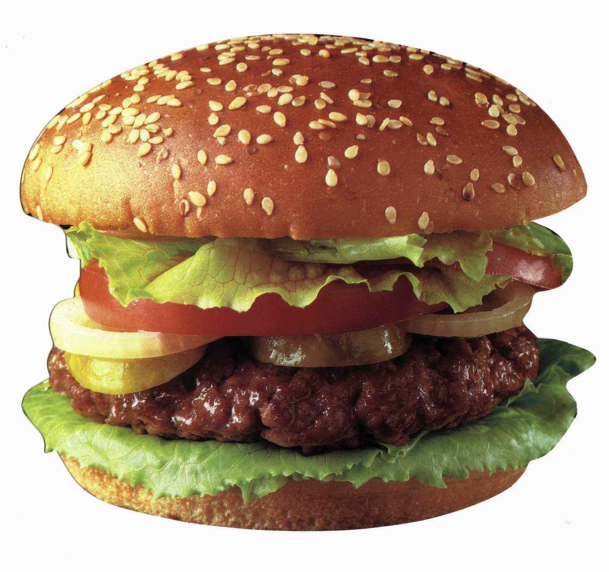 burger.jpg (108745 bytes)