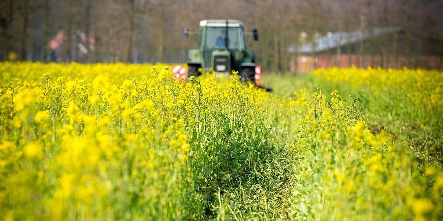 NOTICIA - Seminarios del máster en Ciencias Agroambientales y Agroalimentarias