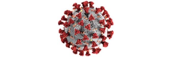El enemigo de la Humanidad: COVID-19 Imagen del virus SARS-CoV-2