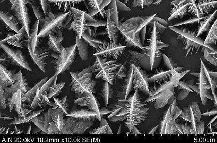 XIX Concurso de Fotografía Científica de la Facultad de Ciencias (2019) Fotografía Científica en la Facultad de Ciencias