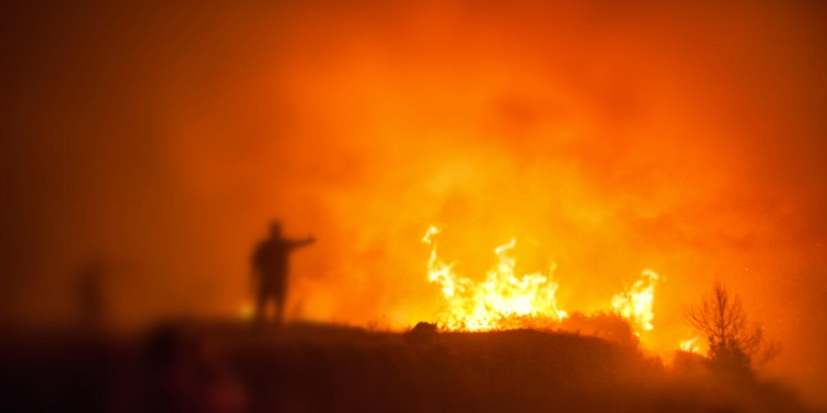 NOTICIA - Premiado un TFG sobre consecuencias del cambio climático en los incendios