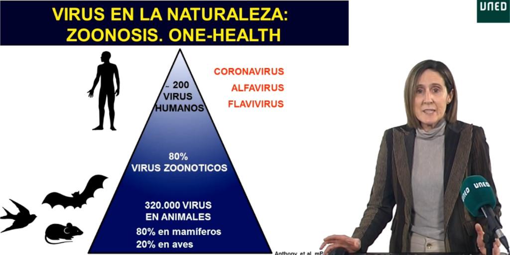 NOTICIA: Seminario sobre coronavirus: virus emergentes con potencial pandémico