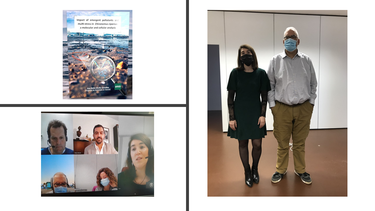 NOTICIA - DOCTORADO EN CIENCIAS - Defensa de tesis de Dª Ana Belén Muñiz González