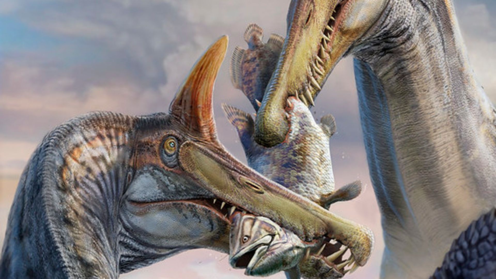 Ilustración de dos ejemplares de Spinosaurus mirabilis capturando un pez de gran tamaño