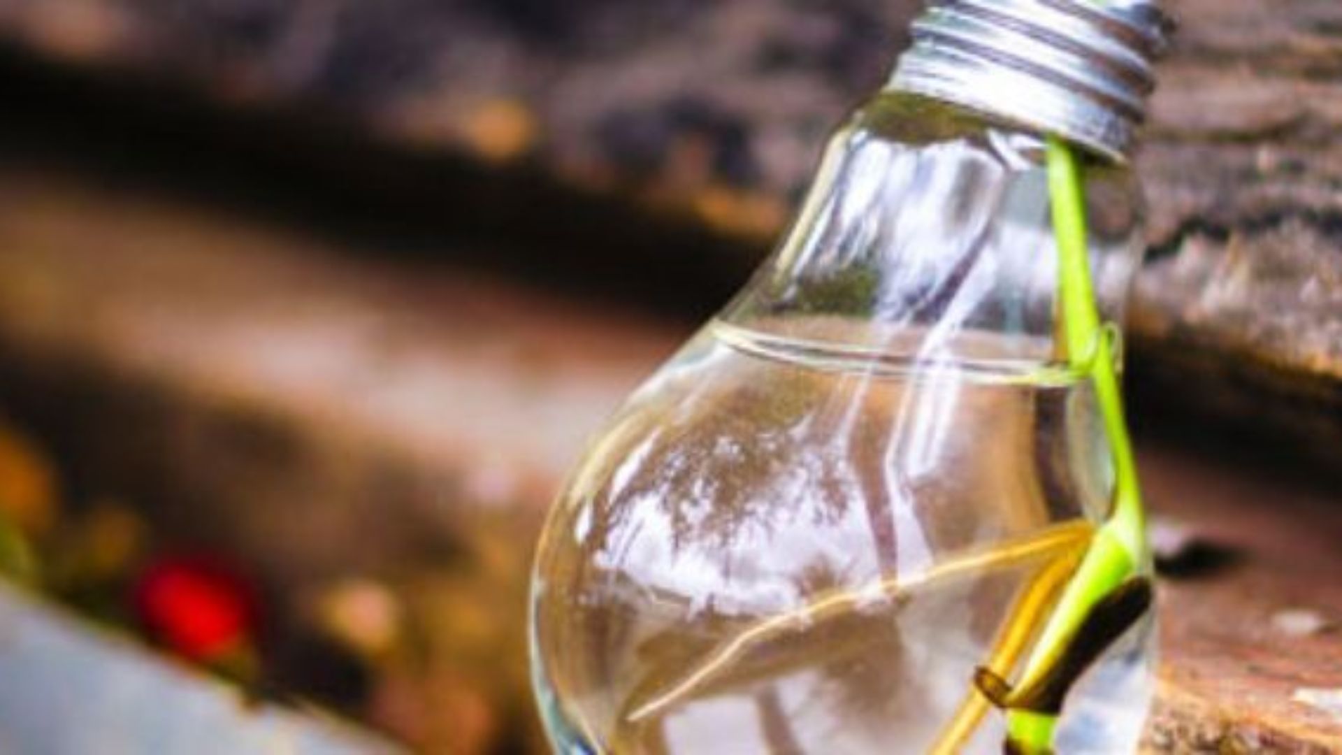 La UNESCO amplía el plazo del Premio Hamdan para el Desarrollo Docente