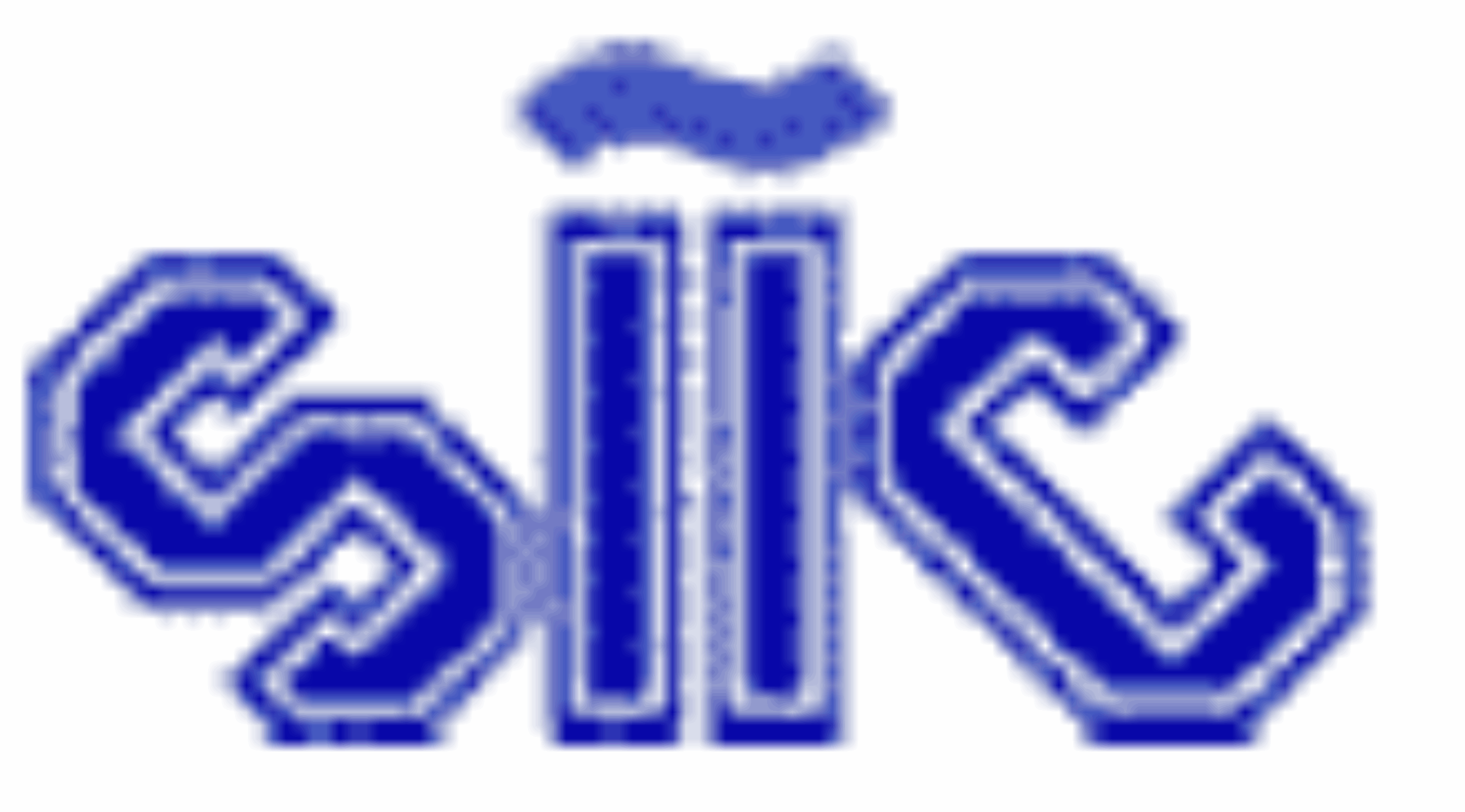 Logo SIIC