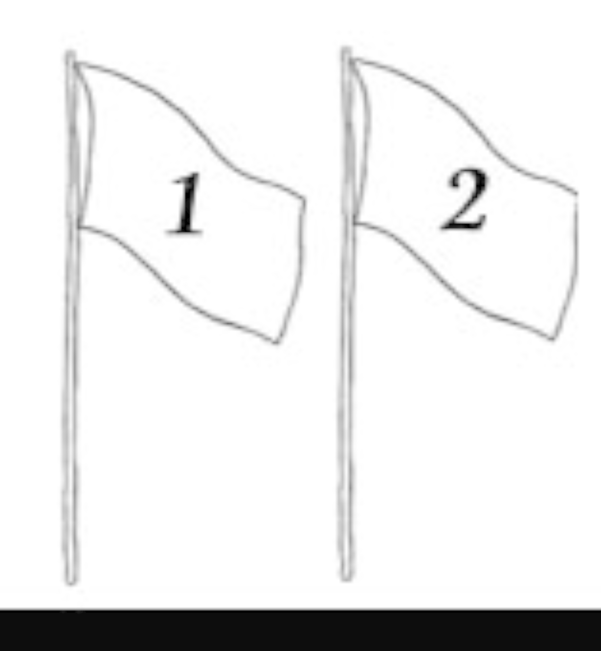 Colocación par de banderas