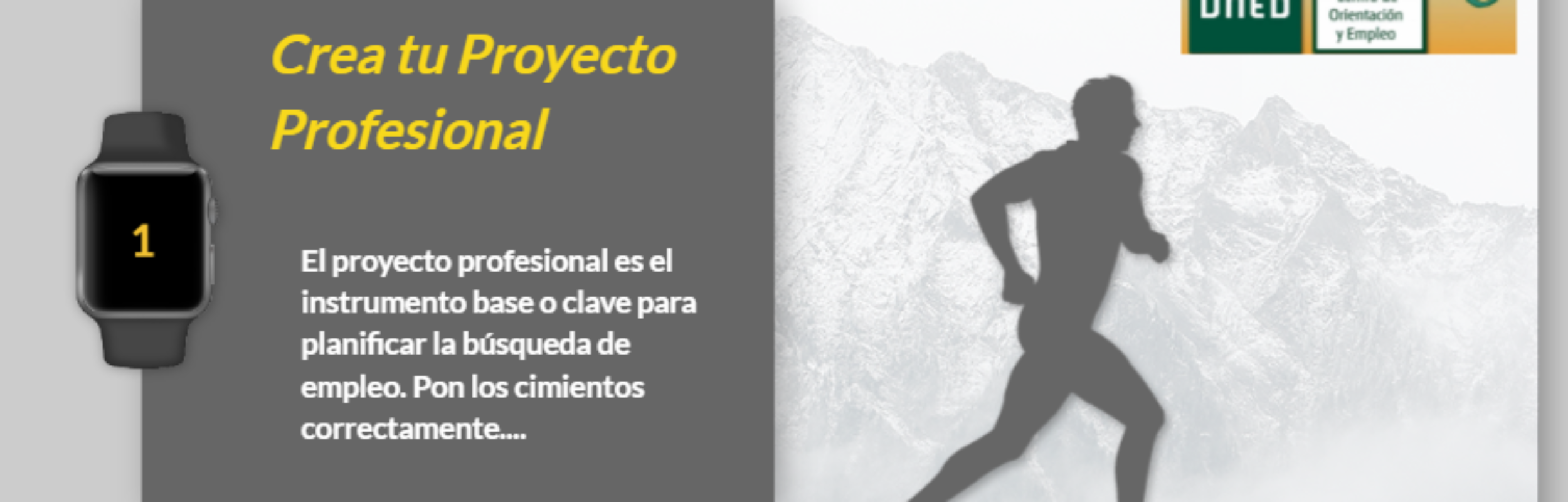 Crea tu Proyecto Profesional