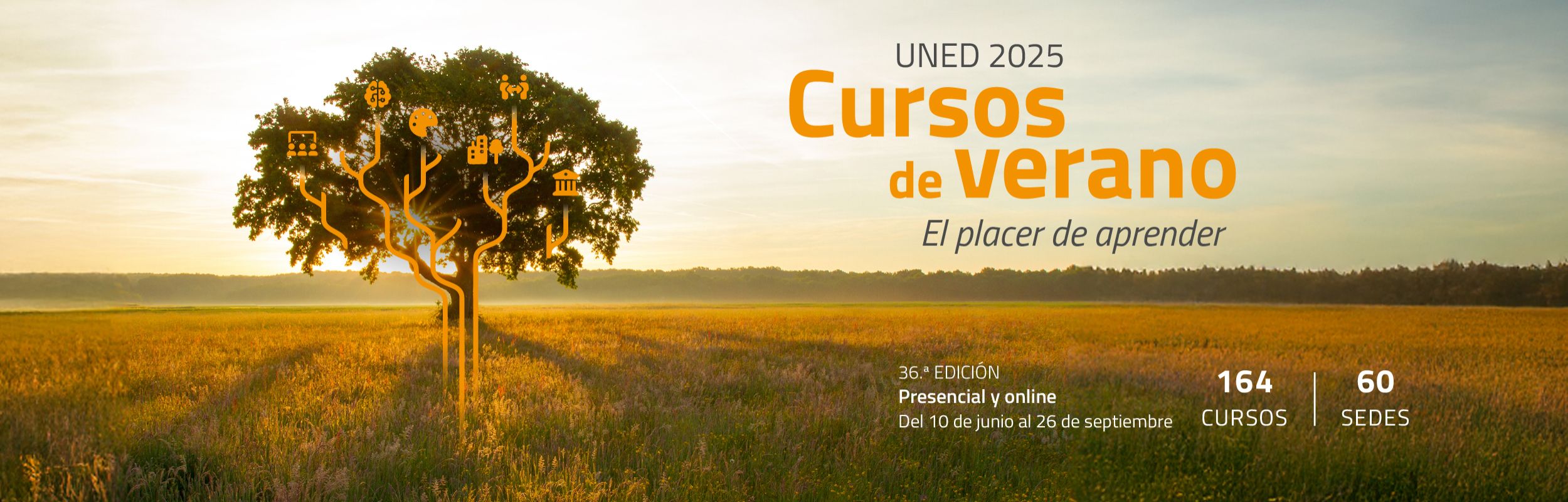 Cursos de verano
