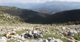Localización del cono y de la cueva de Els Trocs (punto rojo) vistos desde el paso de las Aras con el rebaño de Ramón Costa descendiendo hacia la Selva Plana