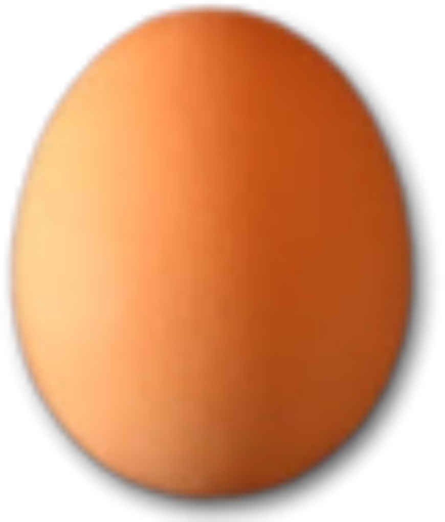 Huevo