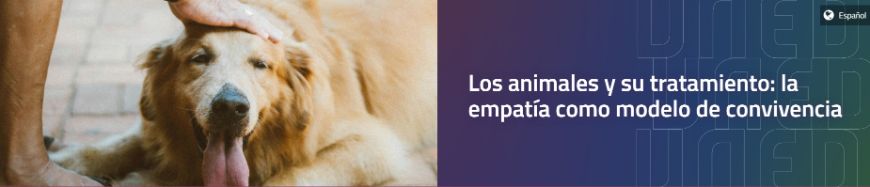 Curso de verano los animales y su tratamiento 