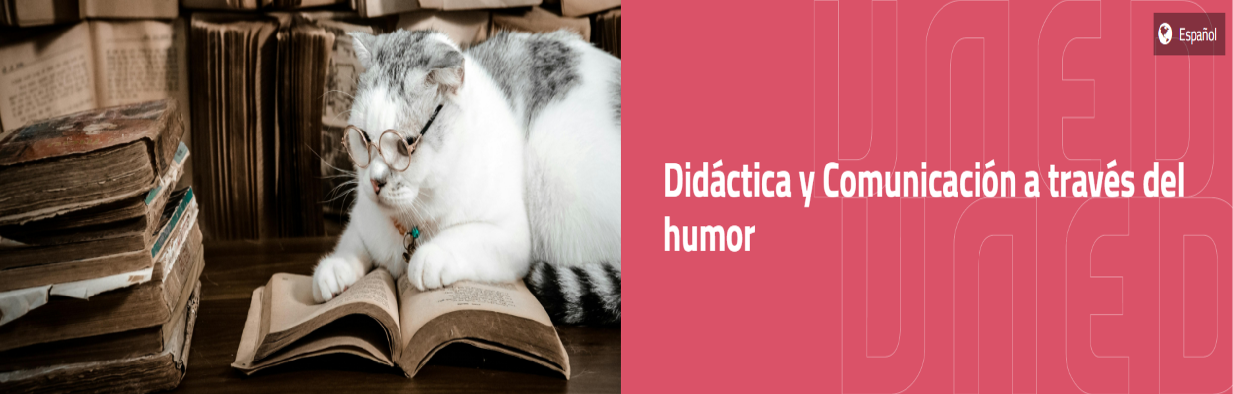 DIDACTICA HUMOR 