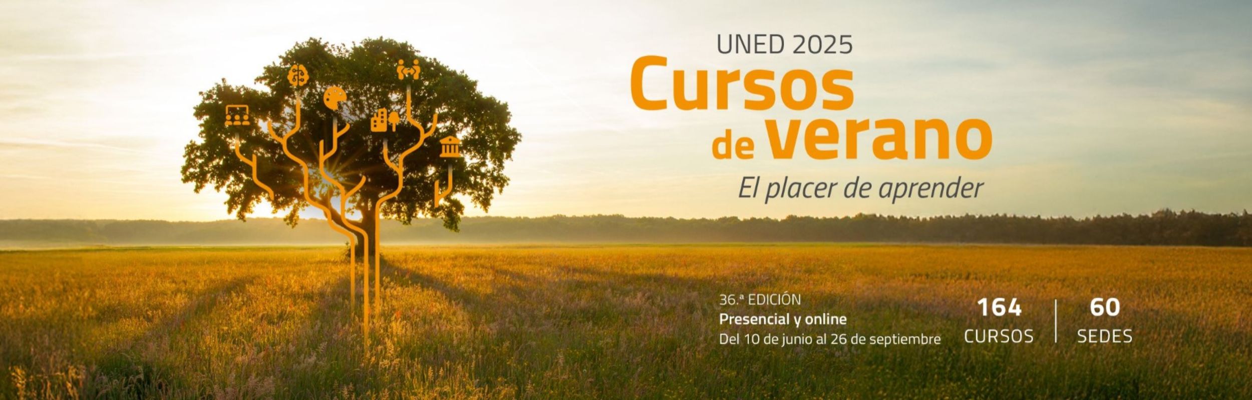 Cursos de verano