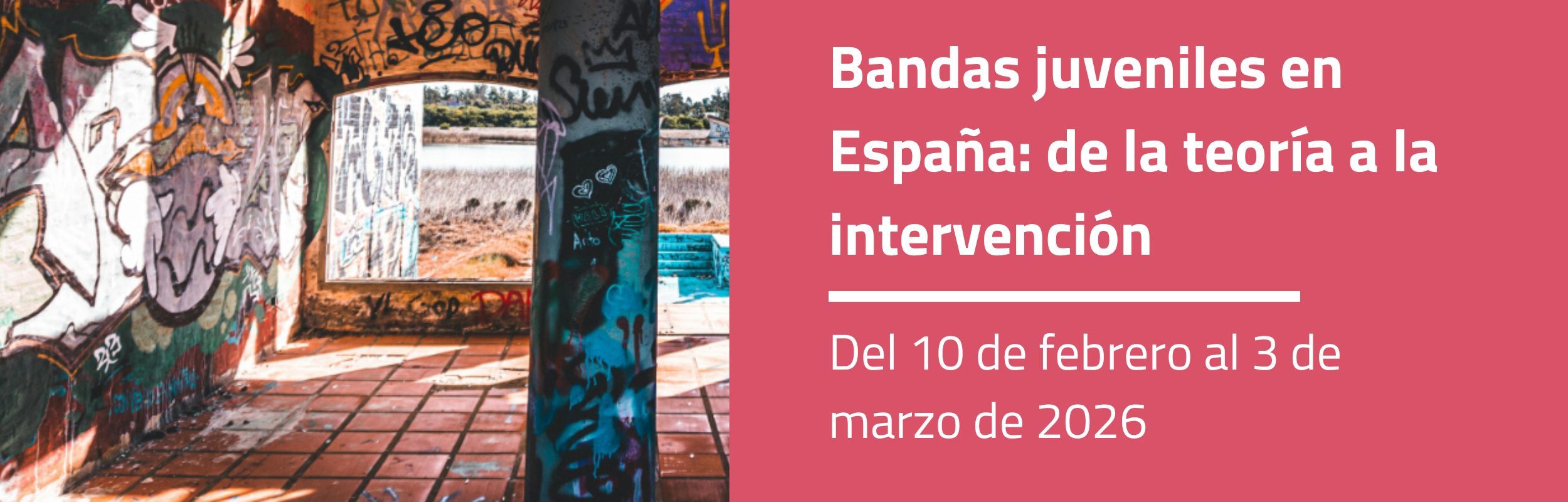 Bandas juveniles en España: de la teoría a la intervención