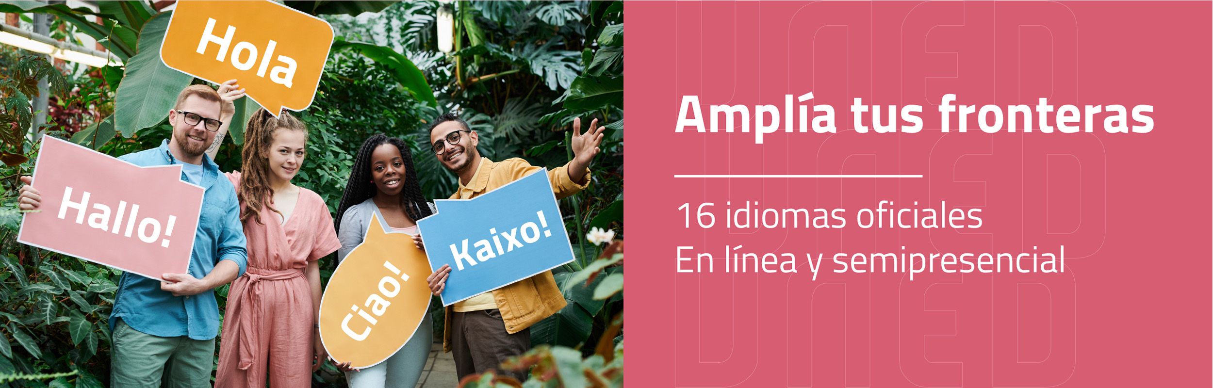Curso Universitario de Idiomas