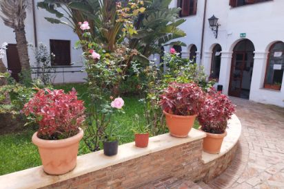 Imagen Patio