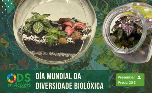 Imaxe do curso de terrarios
