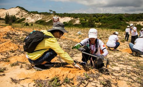 Restauración Ecológica