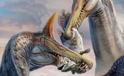 Ilustración de dos ejemplares de Spinosaurus mirabilis capturando un pez de gran tamaño