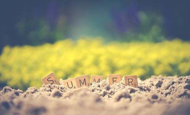 Imagen con texto Summer