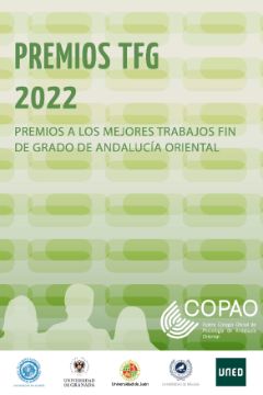 Premios TFG COPAO 2022