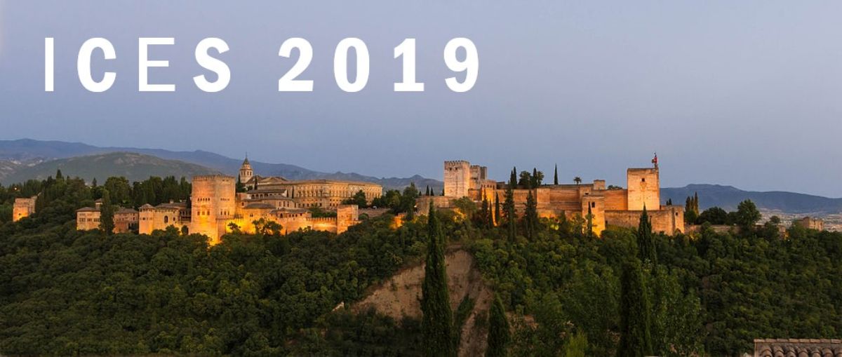 FOTO ICES 2019