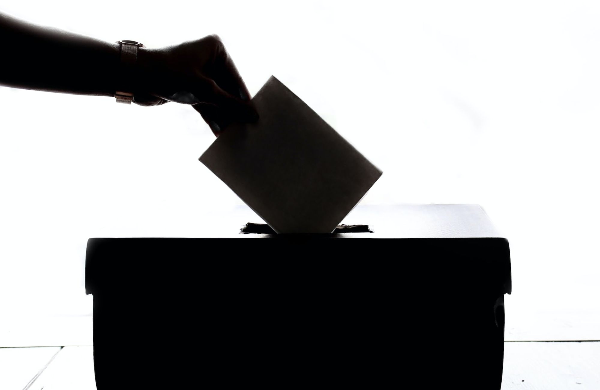 Elecciones Parciales a la Junta de Escuela 2023