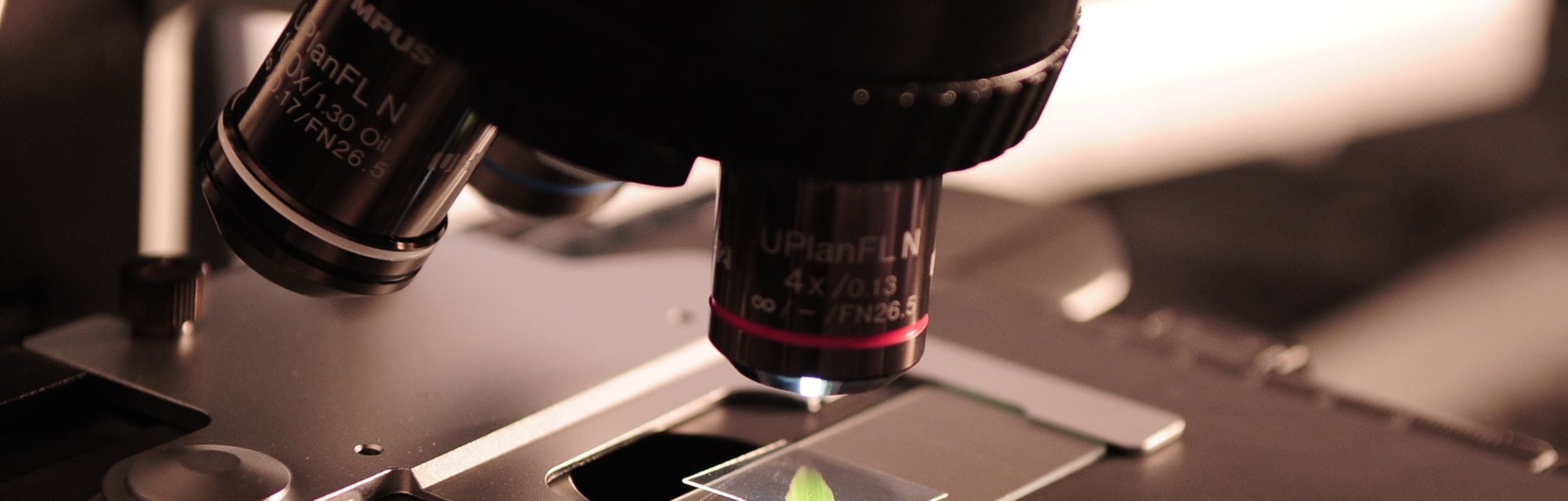 Investigación