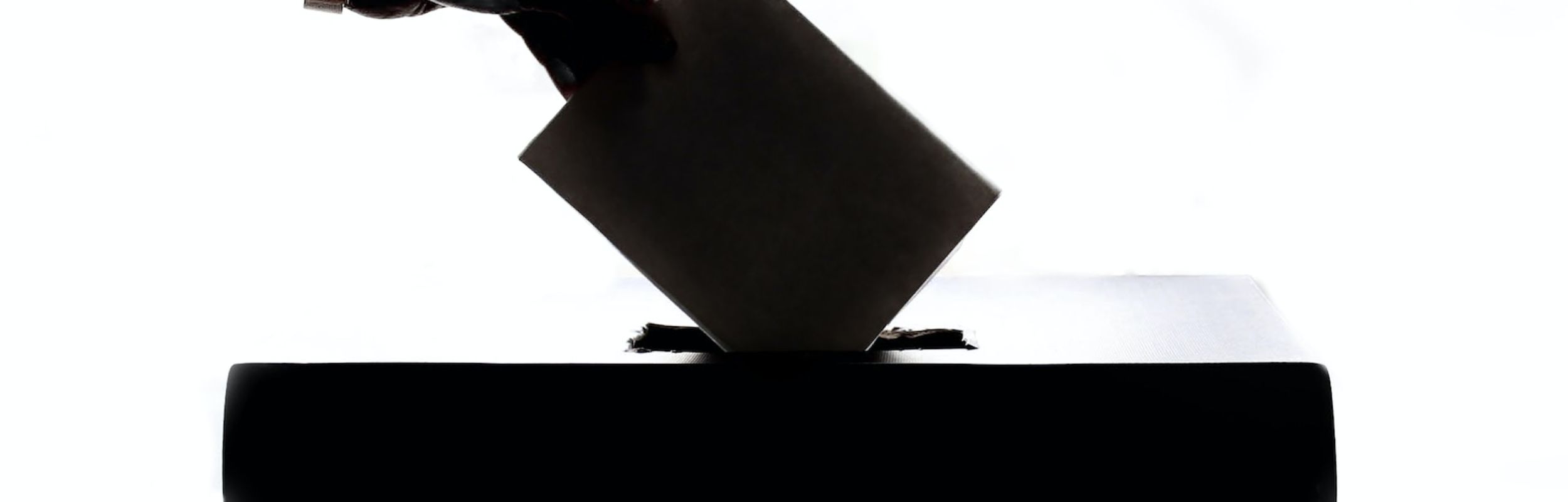 Elecciones Parciales a la Junta de Escuela