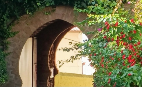 Fotografía que muestra un arco apuntado de sillería con una planta floreciendo