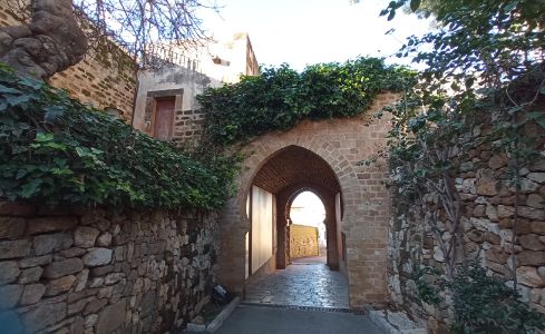 DENIA Y SU ENTORNO DURANTE EL PERIODO ISLÁMICO