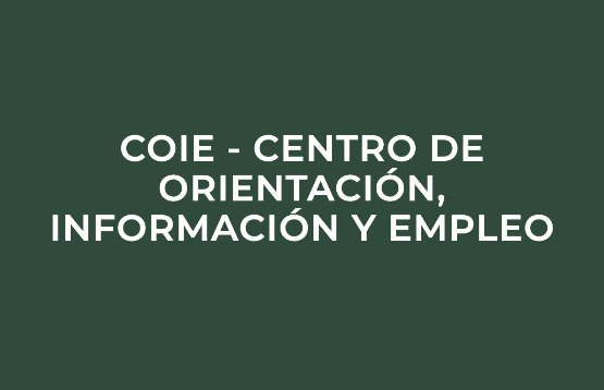 NOTICIA: Orientación Profesional