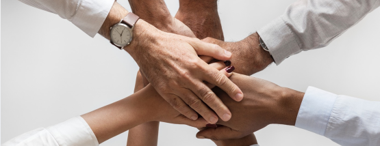 Jornada: ¿Se Aprende a ser Psicólogo? El Papel de las Prácticas en la Formación
