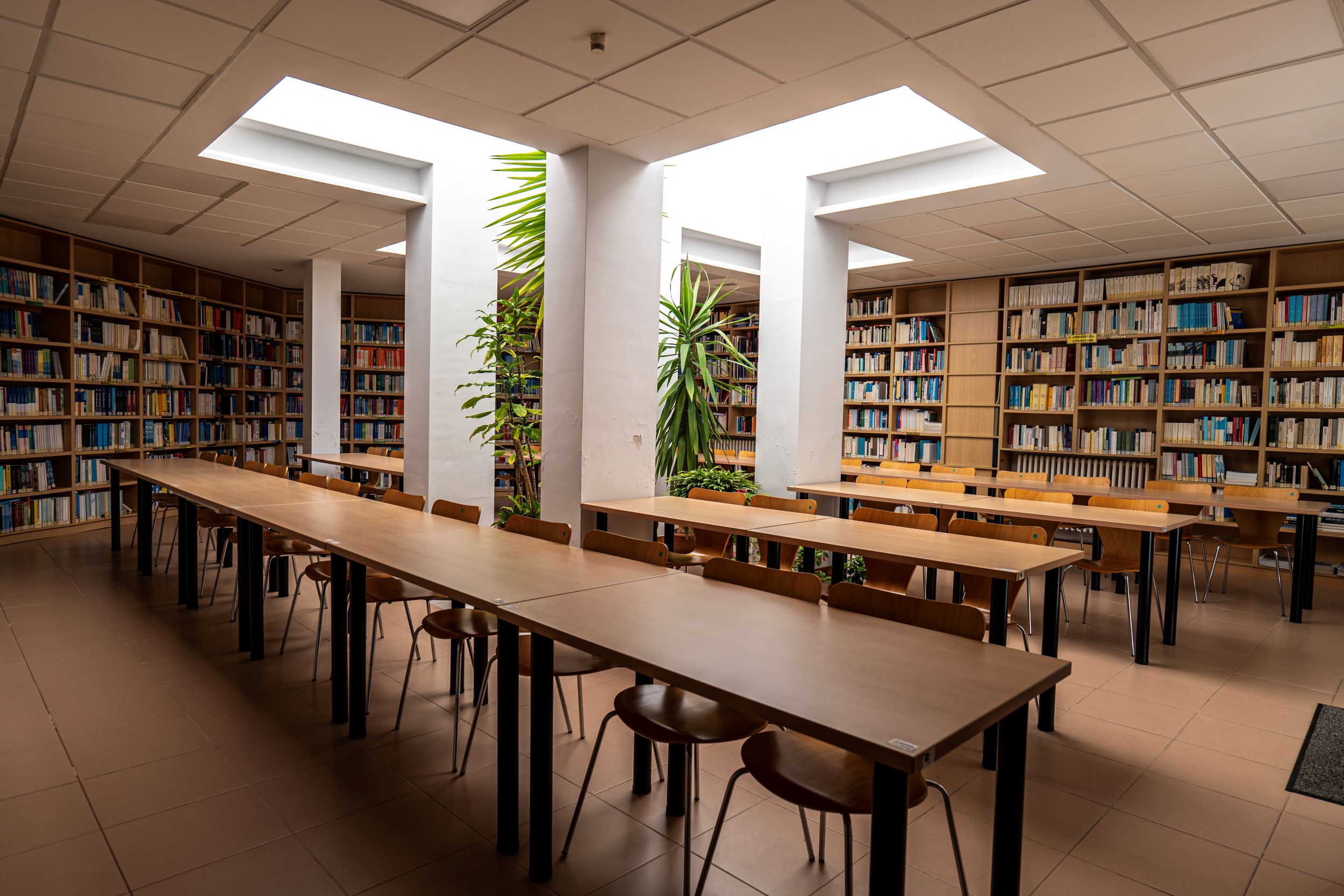 Sala Estudio