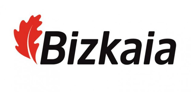 Logo Diputación Foral de Bizkaia - Bizkaiko Foru Aldundiaren logoa
