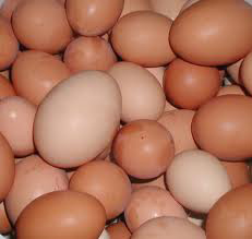 Huevos