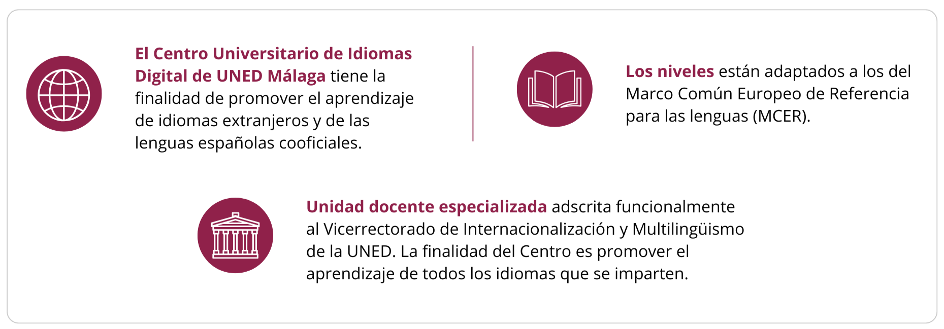 El Centro Universitario de Idiomas Digital de UNED Málaga tiene la finalidad de promover el aprendizaje de idiomas extranjeros y de las lenguas españolas cooficiales. Los niveles están adaptados a los del Marco Común Europeo de Referencia para las lenguas (MCER). Es una unidad docente especializada, adscrita funcionalmente al Vicerrectorado de Internacionalización y Multilingüismo de la UNED. La finalidad del Centro es promover el aprendizaje de todos los idiomas que se imparten.