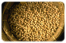 Garbanzos