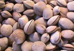 Frutos secos