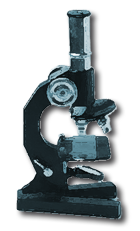 Alimentos funcionales