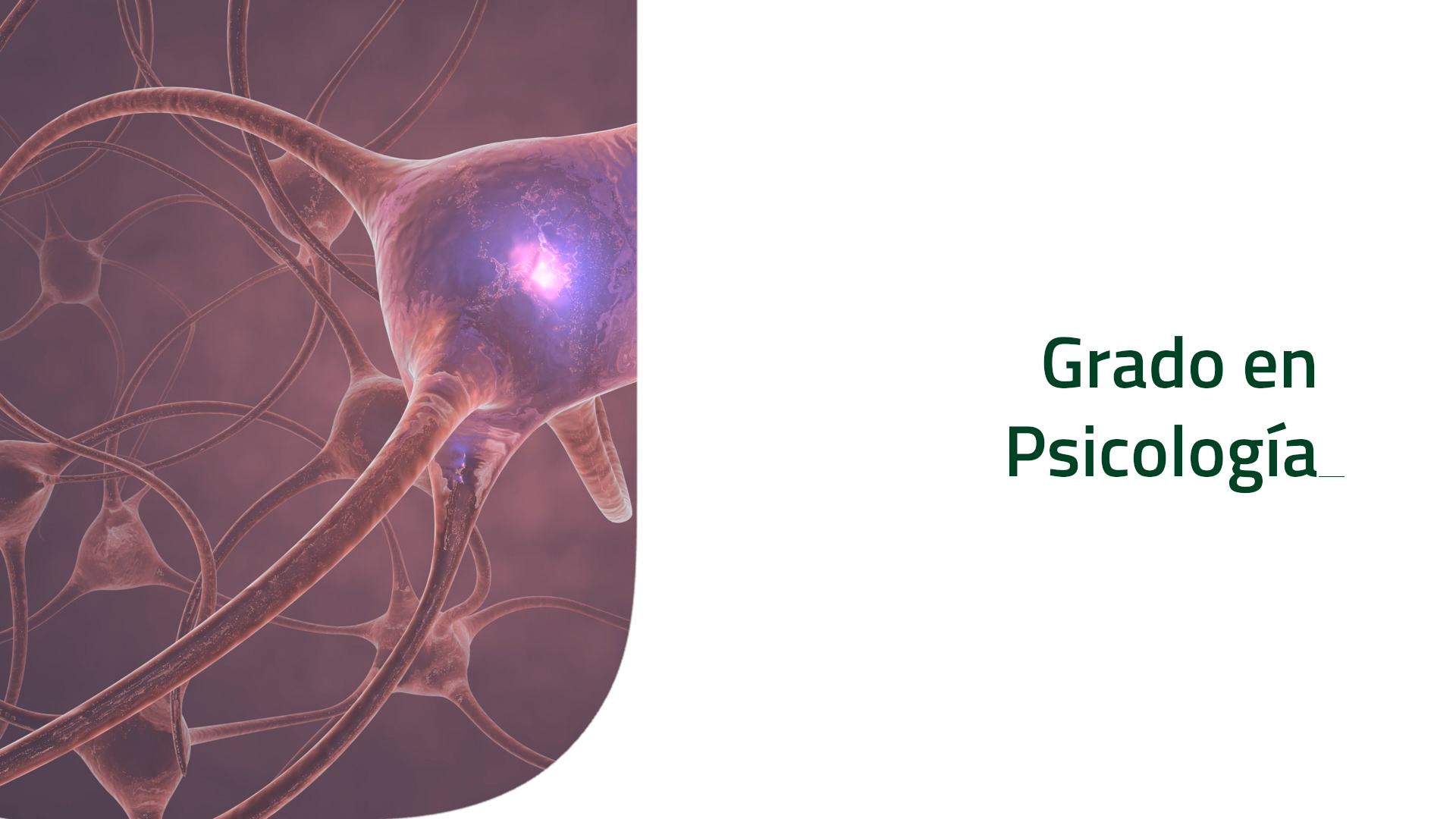Miniatura del vídeo del GRADO EN PSICOLOGÍA