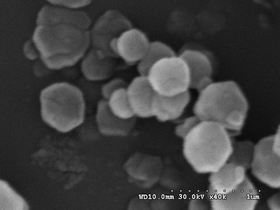 Imagen obtenida mediante SEM, de nanopartículas ZIF-8 obtenidas en medio acuoso.