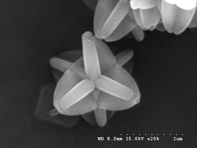  Imagen obtenida mediante SEM, de nanopartículas ZIF-8 obtenidas en medio acuoso.