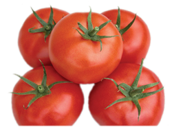 Alimentos de origen vegetal