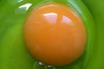 Yema de huevo