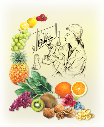 Alimentos funcionales