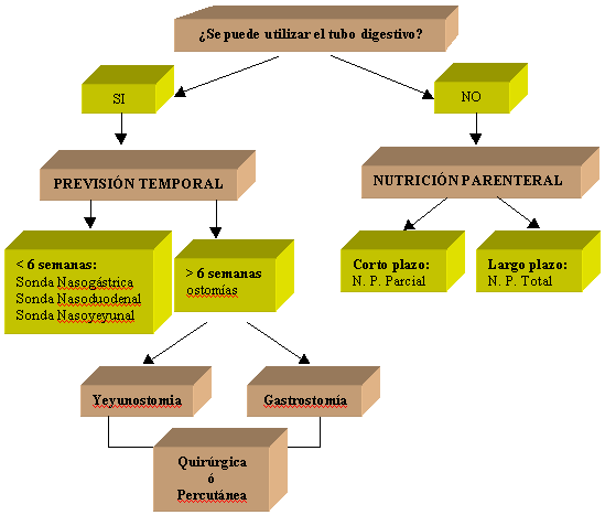 Nutrición artificial en el cancer