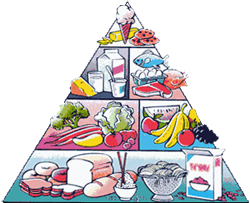 Piramide de los alimentos